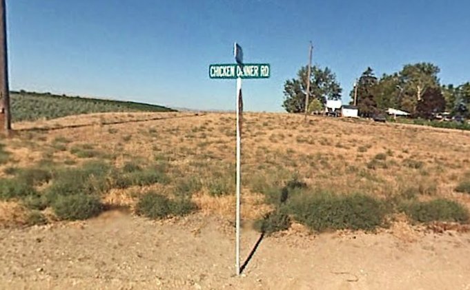Chicken road game, chicken road online